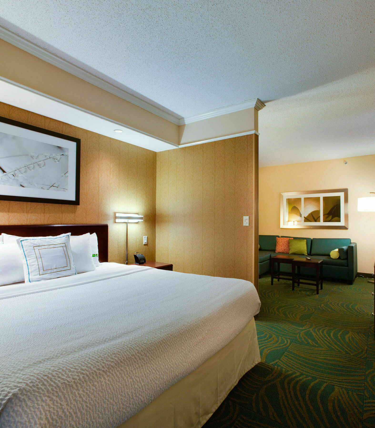 Springhill Suites By Marriott Savannah I-95 South Georgetown Bagian luar foto